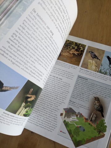 Pxl20230711090957354