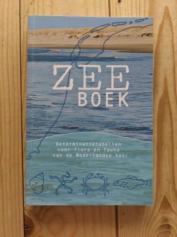 Pxl20230711101628000