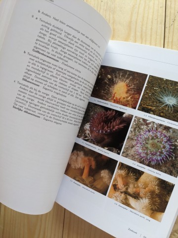 Pxl202307111017020932