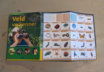 Pxl202308091202452722