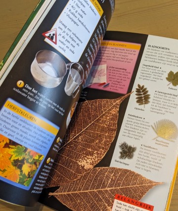 Pxl202308091203050462