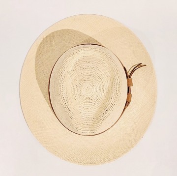 Scippis salinas tan 1