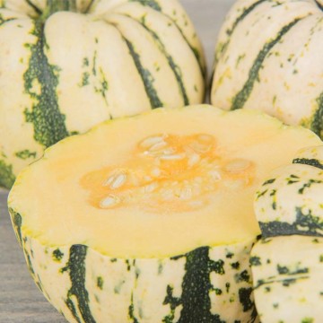 Sweet dumpling close up