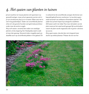 Van gazon naar gras 3