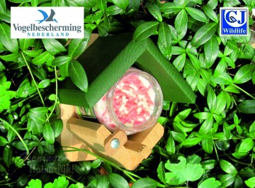 Vbn vogelhagelslag 2