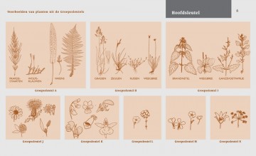 Veldgids nl flora f