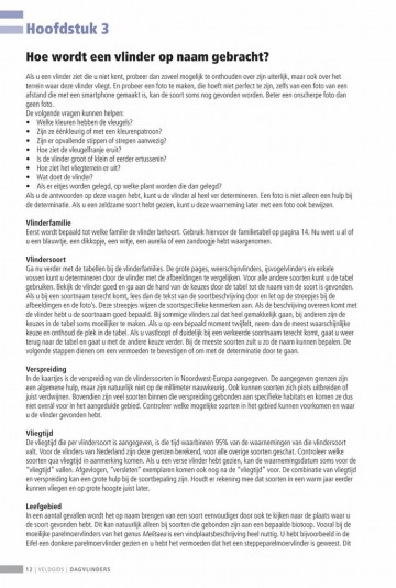 Veldgidsdagvlinders12