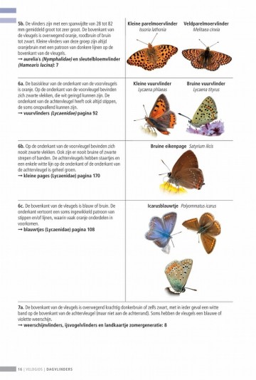 Veldgidsdagvlinders16