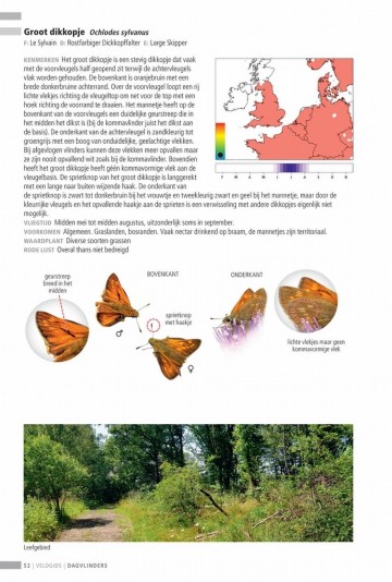 Veldgidsdagvlinders21