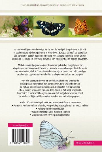 Veldgidsdagvlinders31