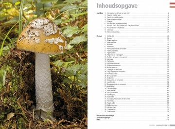 Veldgidspaddenstoeleni