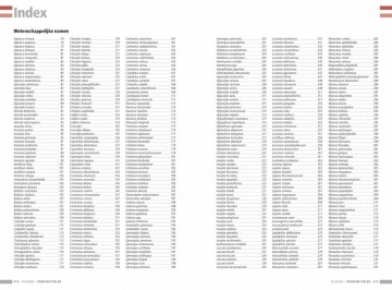 Veldgidspaddenstoeleni9