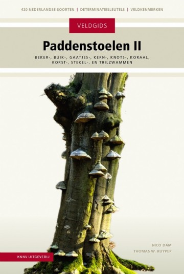 Veldgidspaddenstoelenii19