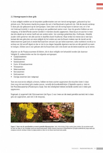 Veldgidspaddenstoelenii21