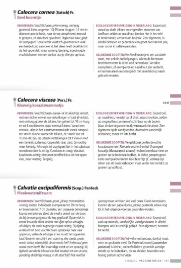 Veldgidspaddenstoelenii29