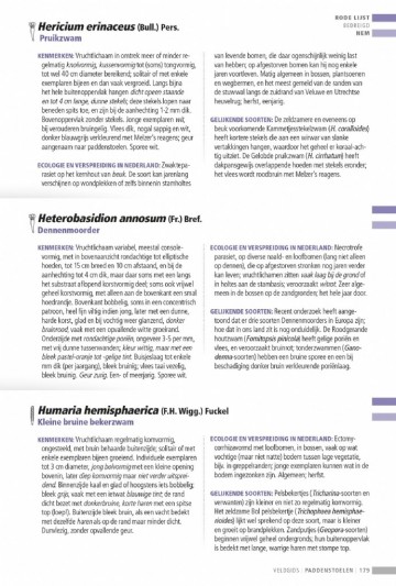 Veldgidspaddenstoelenii33