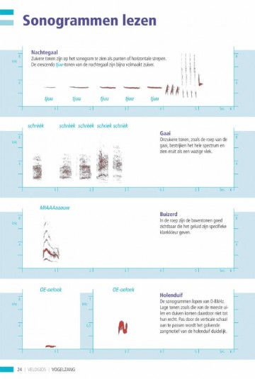 Veldgidsvogelzang6 1