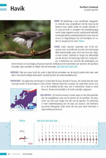 Veldgidsvogelzang8 1