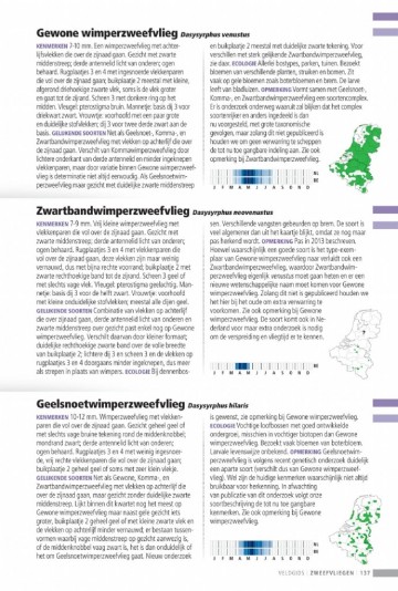 Veldgidszweefvliegen10