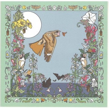 Vergeten natuur kaart nacht