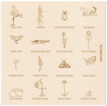 Vergeten natuur kaart weide achterkant