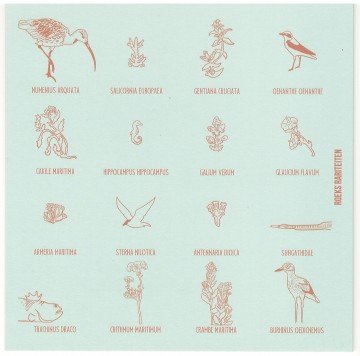 Vergeten natuur kaart zee achterkant