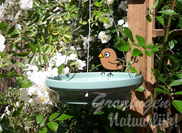 Vesi waterschaal groen 1