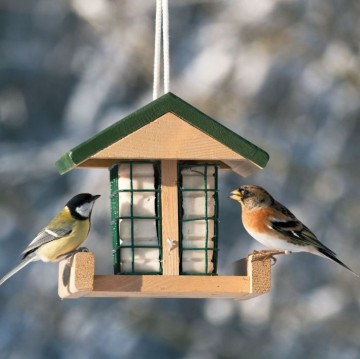 Vetblokhouder pasadena 341270 1