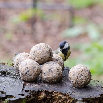 Vetbollen original 6 x 100 gram 1020561