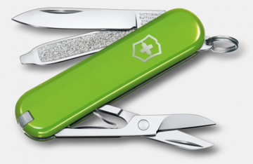 Victorinox clasic sd smashed avocado