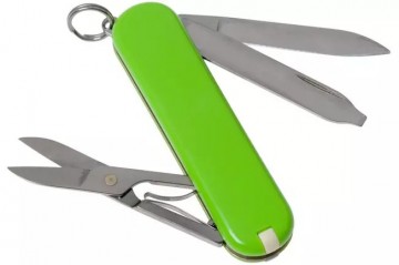 Victorinox classic sd avocado 2