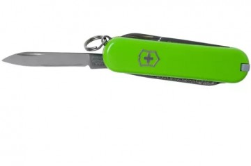 Victorinox classic sd avocado 3