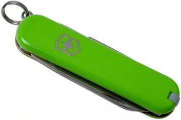 Victorinox classic sd avocado 4