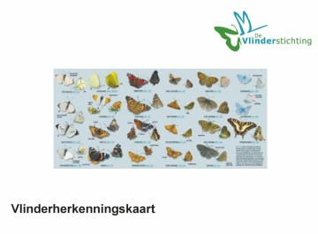 Vlinderherkenningskaart