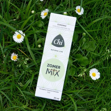 Webshopzomermixingras2