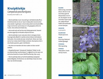 Zakgidsstoepplanten8