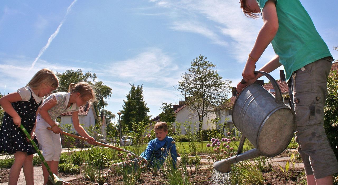 Natuur in de buurt